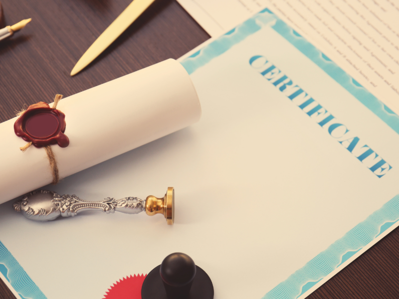 Untitled design (12)